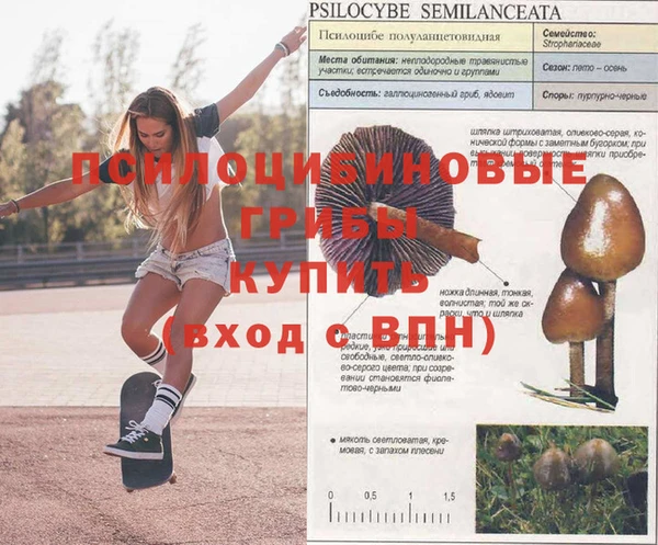 прущий лед Абдулино