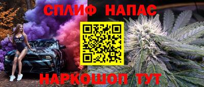 a pvp Славгород