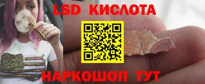 дмт Сланцы