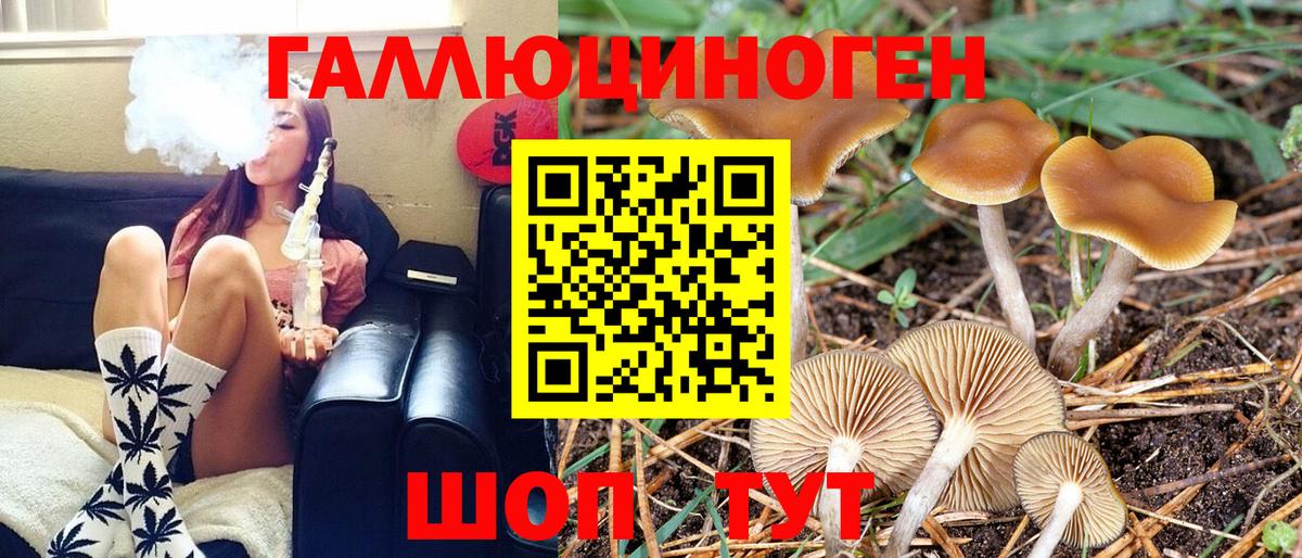 Псилоцибиновые грибы Psilocybine cubensis  Галлюциногенные грибы MAGIC MUSHROOMS  Вход с VPN  Нижневартовск 