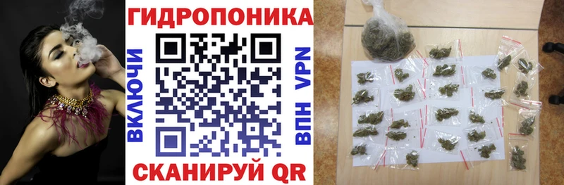 Конопля White Widow  Нижневартовск 